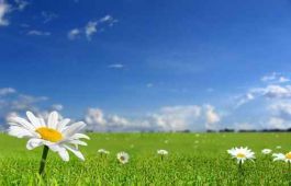 Nos services environnement